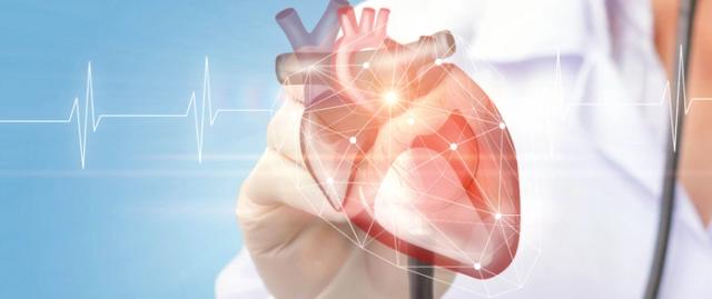Heart