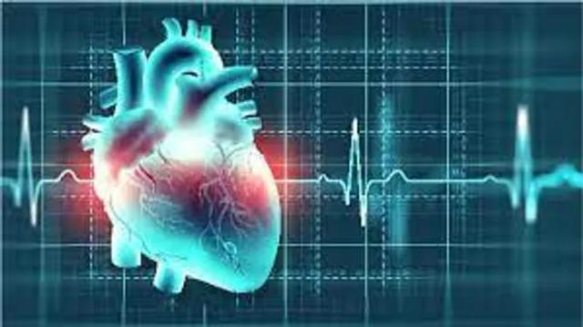 Heart Rhythm and Arrythmias